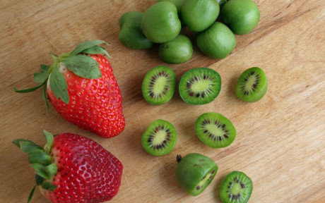 Trái kiwi tí hon còn nhỏ hơn nhiều so với trái dâu tây