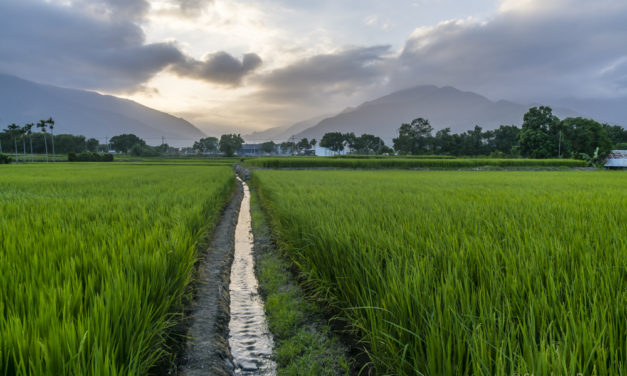 Vào khoảng thời gian còn lại trong năm, những cánh đồng mơn mởn màu ngọc lục bao la dưới bầu trời xanh thăm thẳm tạo thành bức tranh tương phản tuyệt đẹp. Những tháng này sẽ có ít du khách hơn, vì vậy nơi đây sẽ tương đối yên tĩnh và thanh bình hơn.