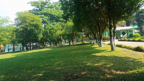 Màu xanh mát mắt của khu du lịch Bửu Long. Ảnh: Nhật Lâm