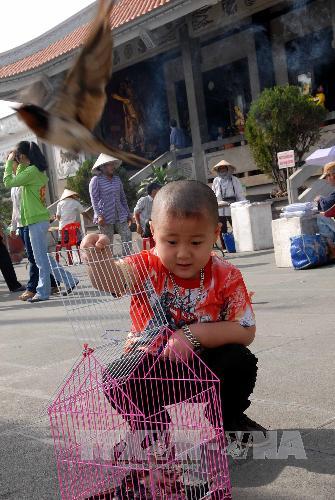 Bé trai phóng sinh những chú chim tại Chùa Vĩnh Nghiêm (TP Hồ Chí Minh). Ảnh: Mạnh Linh/TTXVN