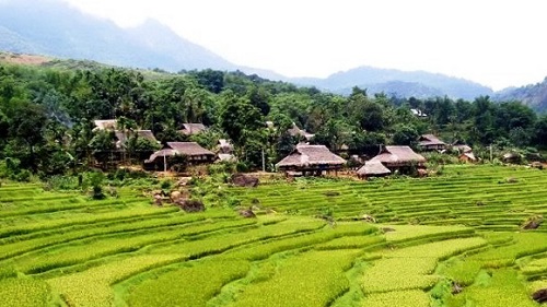 Ảnh minh họa từ internet