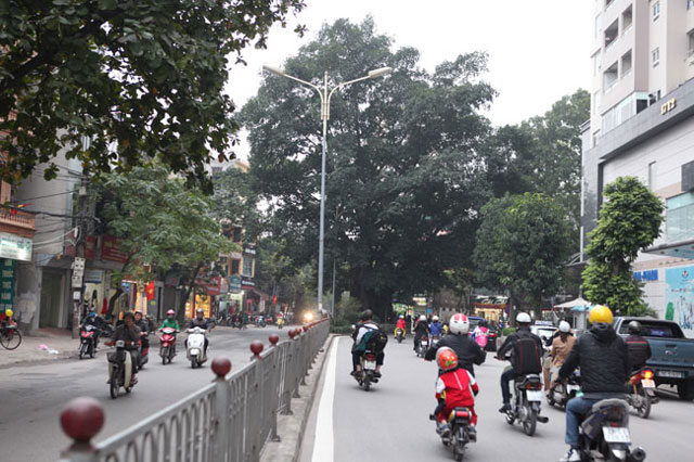 Hà Nội: Mở rộng tuyến đường Vũ Trọng Phụng