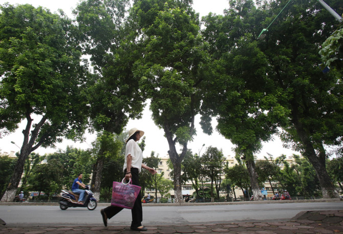 Việc đánh chuyển và chặt hạ cây xanh được thực hiện trong khoảng 45 ngày.