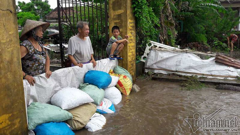 Người dân Cát Bà căng sức chống lũ