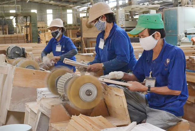 Đại gia gỗ Trung Thành có khả năng 'biến mất' khỏi sàn chứng khoán