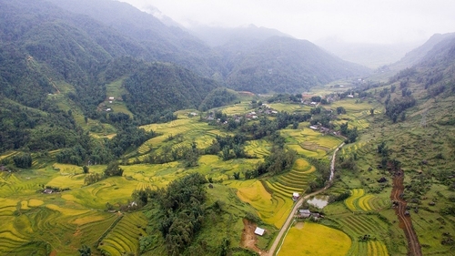 Ruộng bậc thang Sapa từng được tạp chí du lịch Travel and Leisure bình chọn là 1 trong 7 ruộng bậc thang kì vĩ nhất Châu Á. Cách trung tâm thị trấn Sapa khoảng 10km về phía Đông Nam, thung lũng Mường Hoa là nơi bạn phải đến chiêm ngưỡng ít nhất một lần trong đời bởi vẻ đẹp hữu tình riêng có của miền sơn cước. Thung lũng Mường Hoa đẹp nhất khi bước vào mùa thu, cả thung lũng “thay áo mới” với thảm lúa chín vàng óng ả. Đây cũng chính là thời điểm đẹp nhất trong năm để du lịch Sapa.
