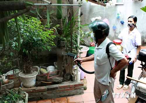 Ổ dịch sốt xuất huyết