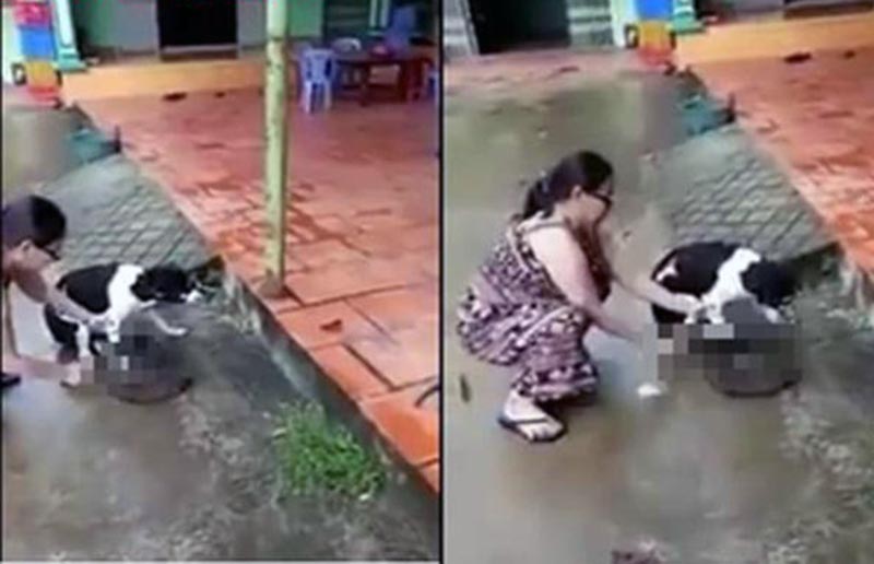 Lời trần tình của người phụ nữ chặt chân chó