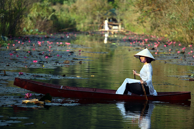 Khi những ánh nắng ban mai hanh dịu của mùa thu bắt đầu lấp ló sau đỉnh núi, từng đoàn thuyền chở du khách rời xa nơi thị thành ồn ã náo nhiệt xuôi xuôi theo dòng nước và cảm nhận bầu không khí chẳng những trong lành mà còn thăng bình, dịu dàng, lặng yên của suối Yến mùa hoa súng nở.