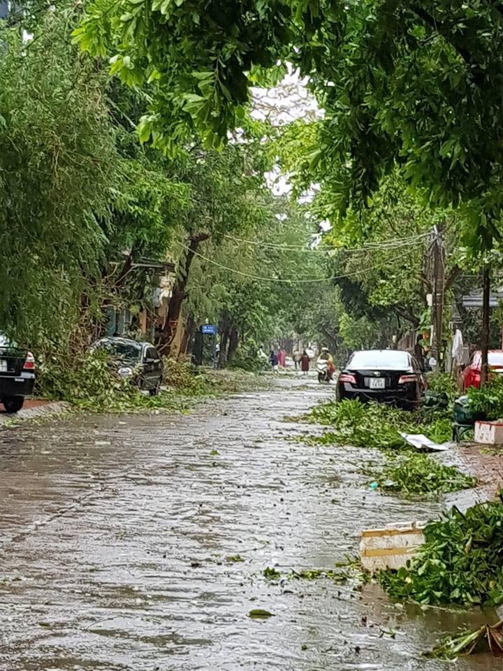 Cây cối bị tàn gió quật gãy, đổ khắp nơi.