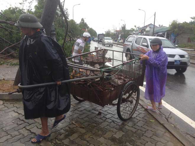 Sau bão, người dân đang hối hả dọn dẹp và khắc phục hậu quả.