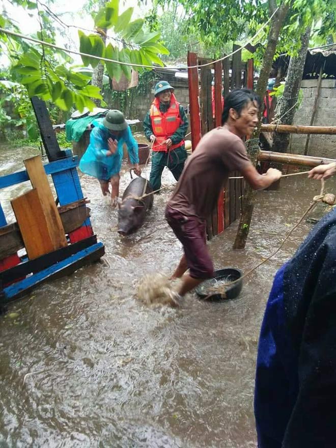 Người dân hối hả di dời đồ đạc, tài sản đến nơi an toàn.