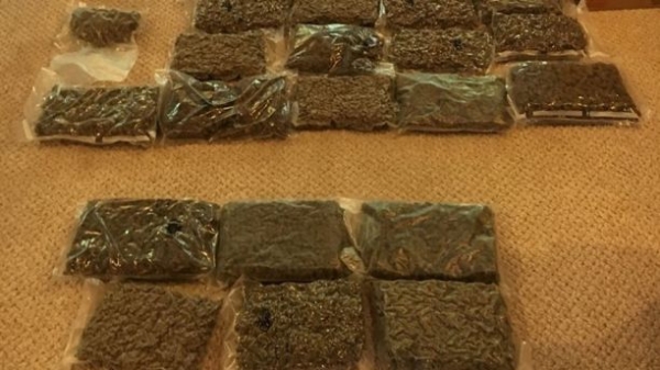 Một phần cần sa bị thu giữ.