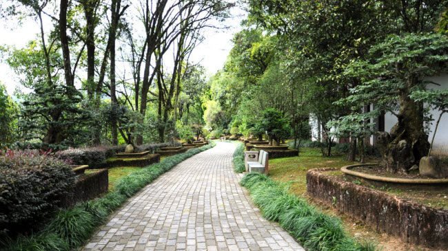 Ngôi đền Zhi Zhi An nằm gần cuối của hành trình tham quan bằng bè tre.