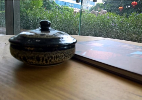 Sài Gòn chia thành hai mùa tương phản, mùa mưa và mùa khô. Từ cuối tháng 4 hàng năm tới hết tháng 10 dương lịch, Sài Gòn thường sáng nắng chiều mưa, lúc này là mùa mưa của thành phố này. Và mùa mưa, cây cối xanh mát, nở hoa tưng bừng. Đó cũng là lúc cứ ra đường, dù nắng chói chang, nhưng chỉ cần ghé bóng râm, là có thể dễ dàng ngồi đọc sách, uống trà hay nhâm nhi li cà phê mà không còn thấy sự oi bức và nóng nực nữa. Có lẽ vì vậy mà tính cách của người Sài Gòn khá xởi lởi, họ nói nhiều, cười nhiều và lúc nào cũng sẵn lòng làm ly trà đá giải nhiệt.