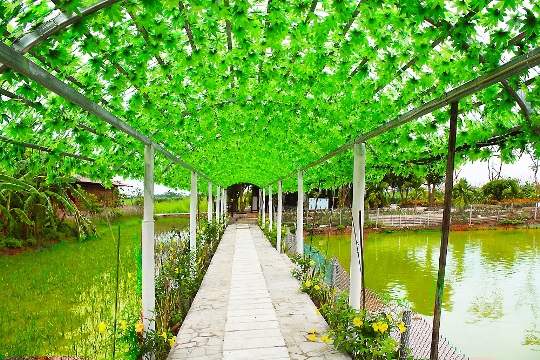 Một ngày &quot;tập làm nông dân&quot; tại nông trang xanh FLC Vĩnh Phúc