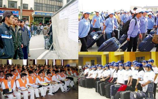 Chậm giải quyết đơn, thư của doanh nghiệp xuất khẩu lao động: &quot;Cái sảy nảy cái ung&quot;!