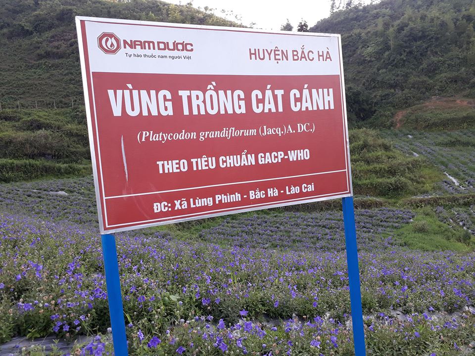 dược liệu