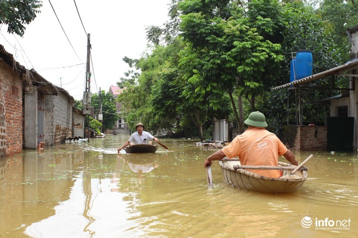 Anh Khanh (Người dân thôn Nhân Lý) cho biết, nhà có trang trại rộng khoảng hơn 7ha, 4.000 con gà đẻ trứng; 3.000 con vịt; 60 con lợn (30-40kg). Khi lũ tràn về chỉ kịp cứu khoảng 1.000 gà đẻ, hơn 100 con vịt; 20 con lợn, còn lại đều bị chết, trôi đi mất.