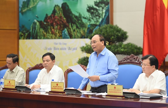 Thủ tướng: Cây gỗ chứ có phải cây kim đâu mà không phát hiện được?