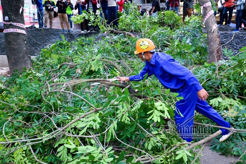 Hà Nội đốn nghìn cây, đường Phạm Văn Đồng tắc cứng