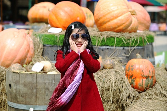 Em Tú Anh, 7 tuổi, Việt kiều Canada tấm tắc: “Cháu đã dự nhiều lễ hội Halloween nhưng cũng không vui được như thế này. Không  ở đâu có những lâu đài và các nhân vật dễ thương, cũng không đâu có nhiều bí đỏ như vậy”.