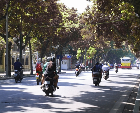 Những con đường rợp bóng cây luôn cho ta cảm thấy dễ chịu bởi màu xanh của nó.  Nắng mùa thu nhẹ ngàng trải trên tán cây làm những tia nắng lọt qua những tán lá tạo thành một bức tranh màu sắc thật đẹp. Đó là những vạt nắng ấm áp song vô cùng quyến rũ, chứ không bỏng rát như cái nóng của mùa hè. Mùa Thu Hà Nội là mùa đẹp nhất trong năm, khi nắng vàng chan hòa đường phố qua những tán cây đẹp đến lạ kỳ, làm ngất ngây lòng người. 