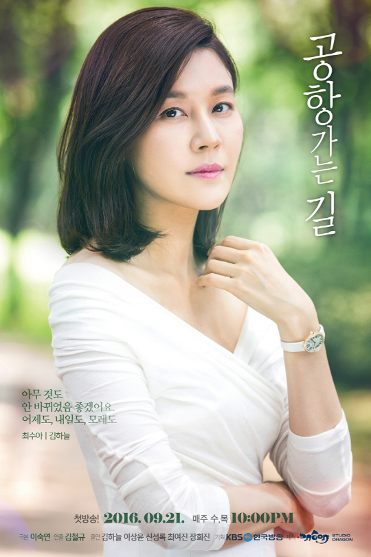 Choi Soo Ah (Kim Ha Neul) là nữ tiếp viên hàng không. Cô có cuộc sống bình lặng bên người chồng làm phi công và cô con gái 12 tuổi cho đến ngày tình cờ gặp Do Woo…
