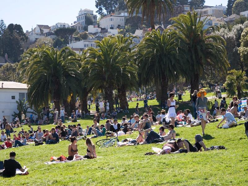 Anh sở hữu một ngôi nhà tương tự khác tại quận Mission (San Francisco), chi 1 triệu USD để cải tạo bao gồm xây nhà kính và sửa bếp.