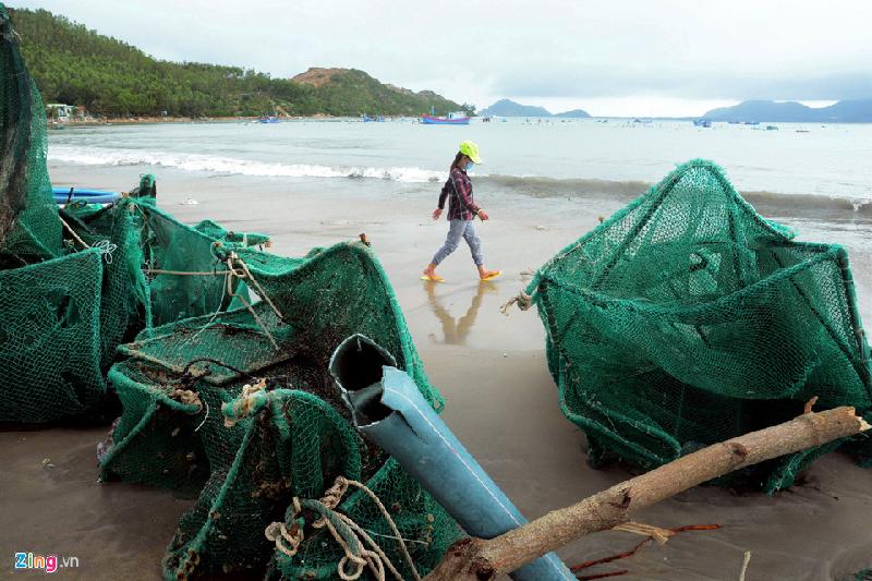 10.000 lồng tôm hùm tan nát sau bão số 12, người dân mất hàng trăm tỷ