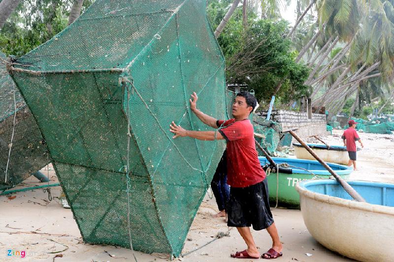 10.000 lồng tôm hùm tan nát sau bão số 12, người dân mất hàng trăm tỷ hình ảnh 4 Theo anh Nguyễn Văn Thể (thôn Vịnh Hảo, xã Xuân Thịnh), bão số 12 đánh hư tất cả các lồng, số ít còn sót lại được người dân vá lưới để thả lại xuống biển tiếp tục nuôi lại tôm hùm. Mỗi người dân trung bình nuôi 20-30 lồng tôm, có nhà nuôi đến 70-80 lồng. Người dân xã Xuân Thịnh chỉ biết chắt chiu các lồng cũ để vớt vát chút tôm còn sót lại sau khi bão đánh tan cả 1 vùng nuôi tôm lớn ở vịnh Xuân Đài.