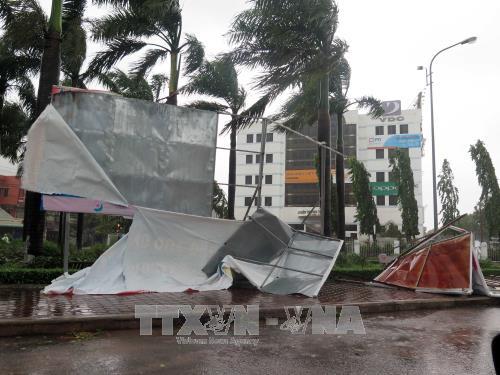 Hàng loạt cây xanh, pano bị đổ trên các tuyến đường tại thành phố Quy Nhơn. Ảnh: Phạm Kha – TTXVN.