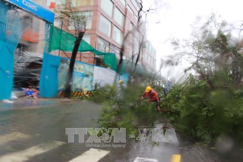 Ngành Điện lực đang khẩn trương tiến hành dọn dẹp và sửa chữa, để khôi phục lại điện và cảnh quan môi trường. Ảnh: Phan Sáu - TTXVN