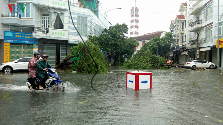 Trên đường phố chỉ có xe làm nhiệm vụ tìm cách vượt chướng ngại kiểm tra tình hình thiệt hại. 