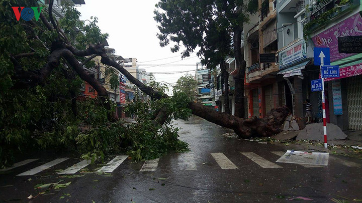 Lúc này tại các huyện, thị xã phía Bắc tỉnh Khánh Hòa như Ninh Hòa, Vạn Ninh, gió bão vẫn đang gầm rít, mất điện diện rộng, mạng điện thoại di động, cố định đều mất liên lạc, internet chập chờn.