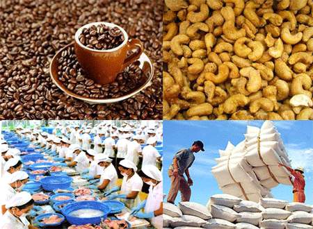 Xuất khẩu vào EU: Quy định bắt buộc doanh nghiệp không thể bỏ qua