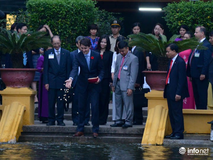 Ông Trudeau cho cá ăn ở ao cá Bác Hồ phía trước nhà sàn, trước sự chứng kiến của các thành viên phái đoàn Canada và các phóng viên Việt Nam, quốc tế.
