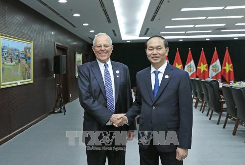 Chủ tịch nước Trần Đại Quang và Tổng thống Cộng hòa Peru. Ảnh TTXVN 