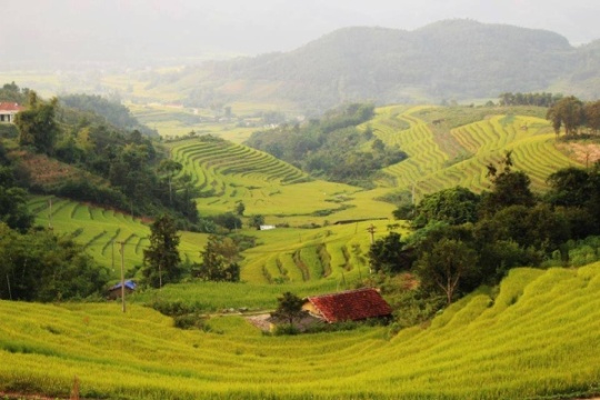 Bình Liêu có diện tích khoảng gần 500km2, có 1 thị trấn là Bình Liêu và 7 xã, trong 7 xã này có cái tên Hoành Mô gắn với cửa khẩu Hoành Mô có lẽ nhiều người cũng đã từng nghe qua, bởi đây là một trong những cửa khẩu qua Trung Quốc, nằm trong trọng điểm Khu kinh tế cửa khẩu Hoành Mô – Đồng Văn.