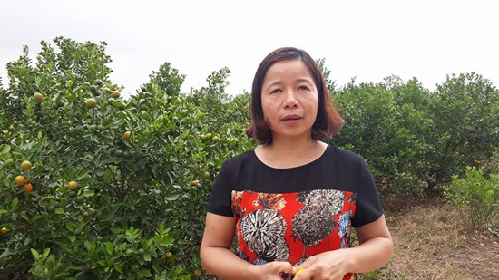 Cán bộ điều phối dự án