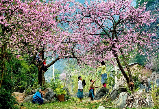 22 ngày tri ân vàng, cơ hội cho những người săn tour giá rẻ, siêu chất
