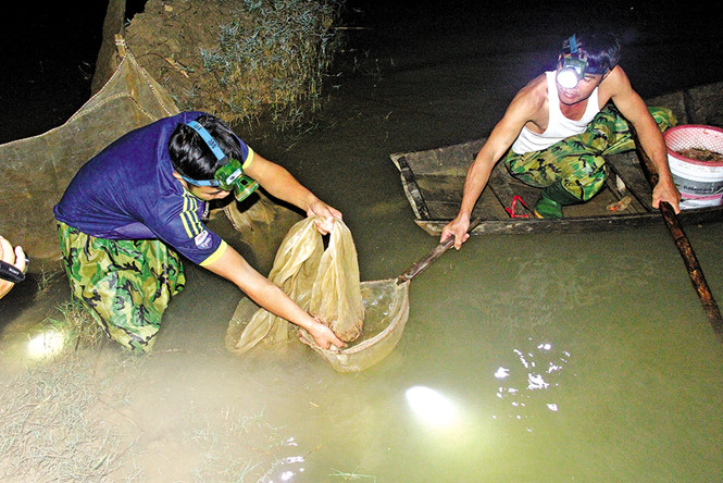 Nửa đêm đi 'săn' lộc trời