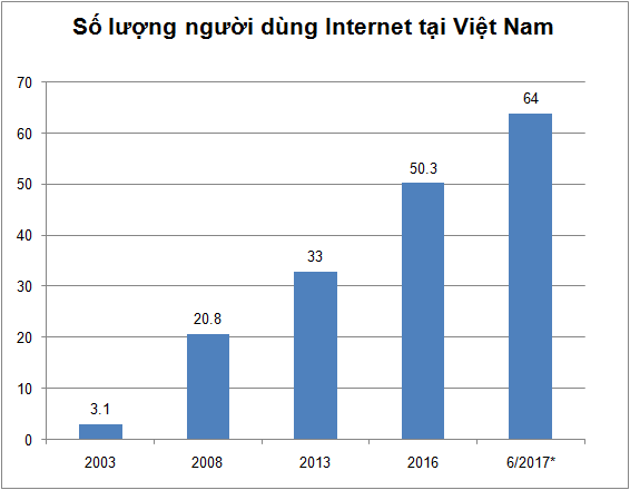 Đơn vị tính: Triệu người. Nguồn: Bộ TT&TT. (*) - Số liệu từ Internetworldstats
