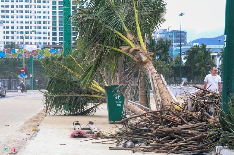Trên nhiều tuyến phố ở Nha Trang, cây cối vẫn còn ngổn ngang. Hàng trăm công nhân, máy móc được huy động, nhưng khối lượng quá nhiều.