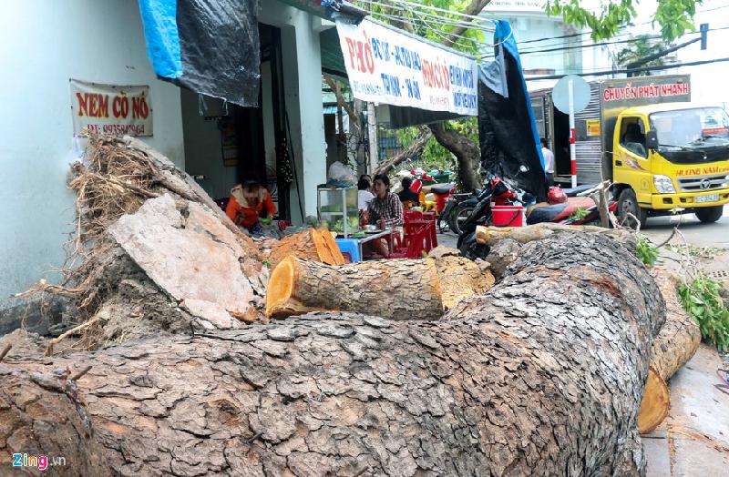 Nhiều nơi cây đổ vẫn chắn ngang nhà dân.