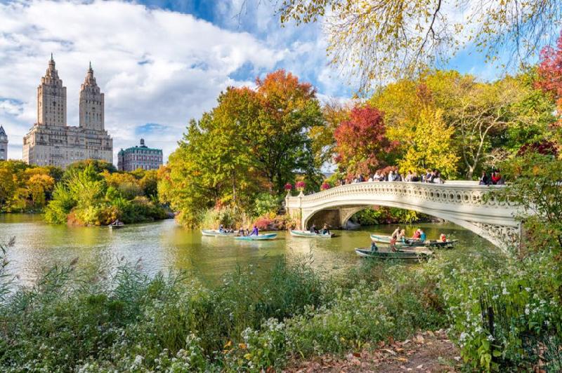 Hồ công viên trung tâm, New York, Mỹ: 
