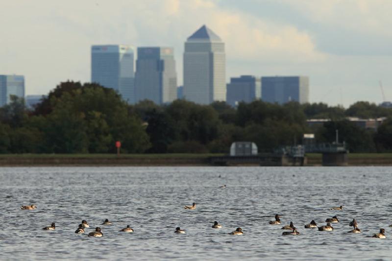 Walthamstow, London, Anh: 