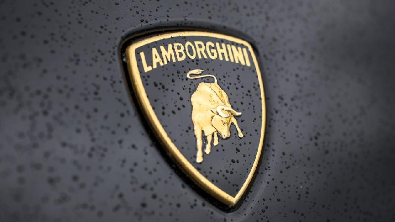Duong tham tram cua hang sieu xe Lamborghini hinh anh 6