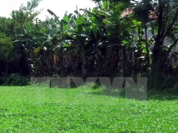 Tạm giữ hình sự một cán bộ Trung tâm Phát triển quỹ đất Hải Phòng