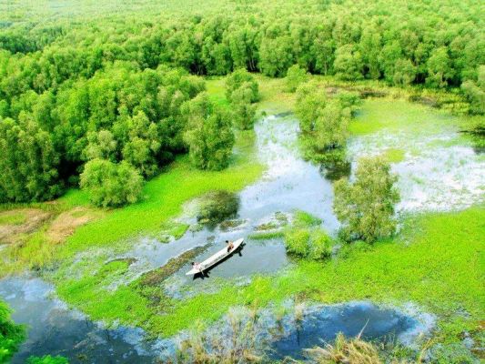 Lạc lối nơi rừng tràm Trà Sư sông Hậu